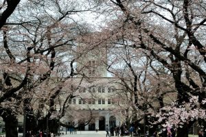 MEXT scholarship Japan university