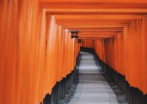 Pathway lined with torii gates representing MEXT scholarship extension