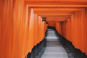 Pathway lined with torii gates representing MEXT scholarship extension